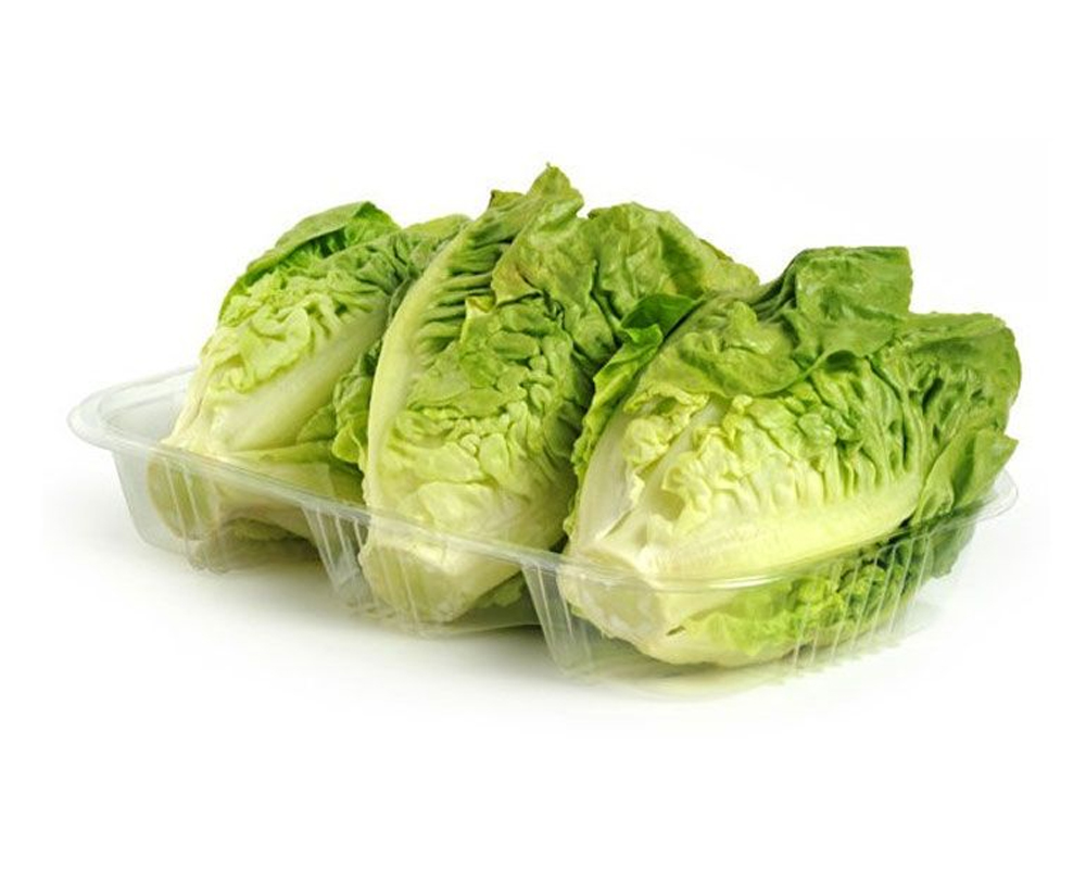 Lechuga